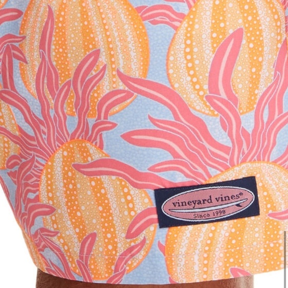 Vineyard Vines Men’s Medium Bathing Suit Sea Urchin Chappy Trunks - Picture 6 of 7
